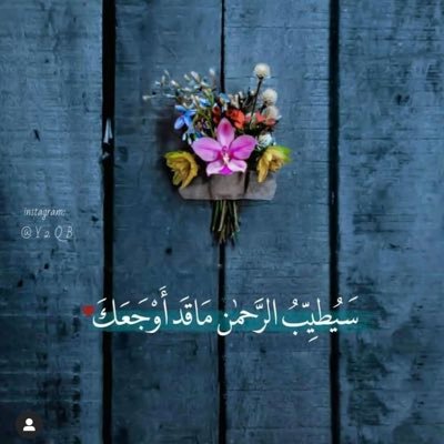 محبه الخير للغير أمضي نحو مستقبل افضل باذن الله غايتي رضى خالقي🌸