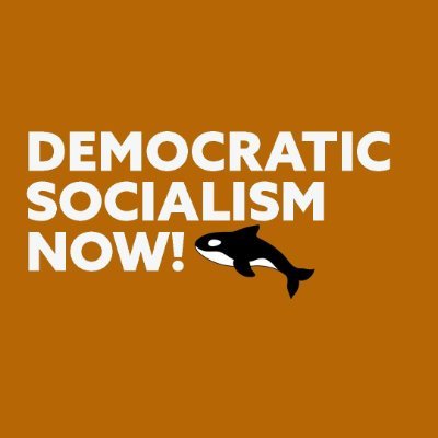 Our demand? Democratic Socialism Now! We are aligned with the values of the DSA.