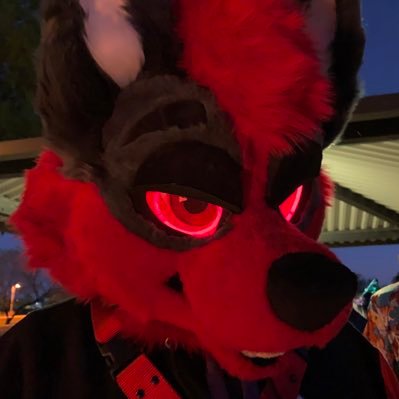 DukeChang_'s profile picture. 25 | he/him | pan | warlock husky | huge Destiny nerd and aviation lover.