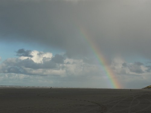 JTVeldhuizen's profile picture. 47 jaar, vrouw van.., moeder van..., docent op VMBO. Grootste hobby is hardlopen.