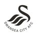Swansea City Academy (@swans_academy) Twitter profile photo Swansea City Academy (@swans_academy) Twitter profile photo
