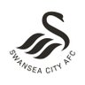 swans_academy's profile picture. Official account of the @SwansOfficial Academy 🦢