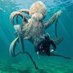Scary underwater 🌊 (@bluedeep_0) Twitter profile photo Scary underwater 🌊 (@bluedeep_0) Twitter profile photo