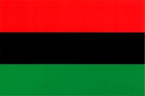 We Are the African Americans The Descendants of the West African Warriors and Farmers who were captured and forced into Slavery Building the United States