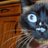 DebbieAint's profile image