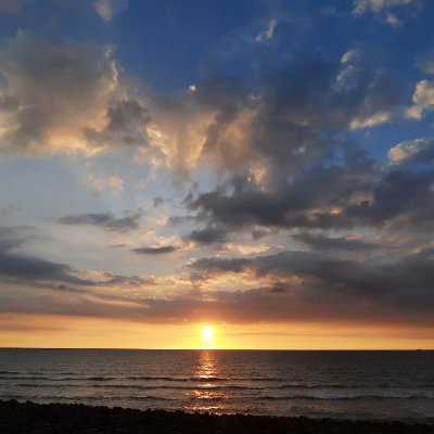 chigusann141316's profile picture. 