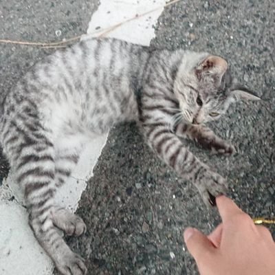 yxtz_'s profile picture. 元03IGS 現社会人