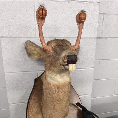 Charlie47205850's profile picture. 