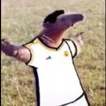 mais aleatório que eu só eu memo

deixe seu recado após o sinal