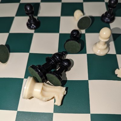 Geek, professor, introvert, chess player, plant eater, ambient music fan, latter-day saint, father, husband