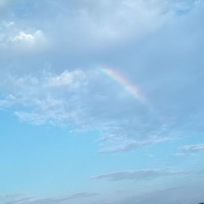 AskingIsabel's profile picture. Mi Eterno Ángel, odiando las matemáticas desde 1996. Emi y Sophie mi felicidad.🧚🏻‍♀️🧚‍♀️