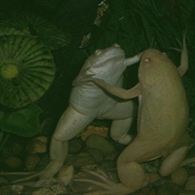 honeybeetee_'s profile picture. they/them🌱 20🌿 fanfic writer🍀