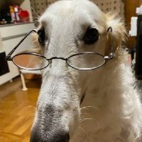 Your average femboy (@average_f3mboy) 's Twitter Profile