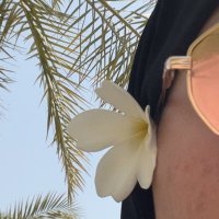 مَنار (@cngirlee) 's Twitter Profile Photo