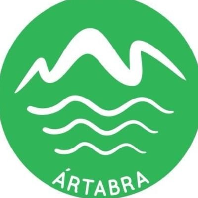 Artabra_e Profile Picture