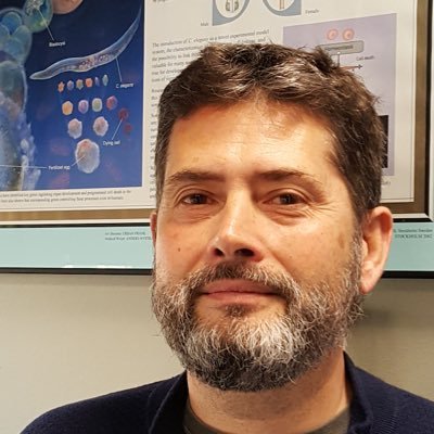 Antonio Miranda Vizuete Profile