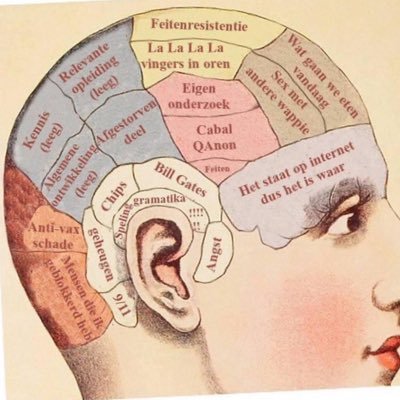 Scheibenbaum_N's profile picture. 