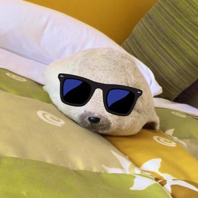 ゴマちゃん (@gomachanChannel) / Posts / X