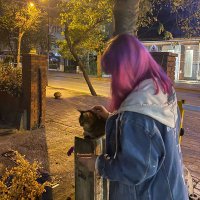 Begüm (@vicdanlizorba) 's Twitter Profile