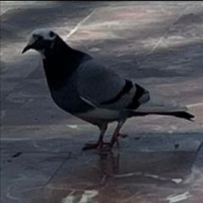 RamiroA95008121's profile picture. ❤️A❤️