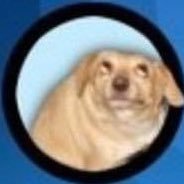 karens_ziti's profile picture. HARK!