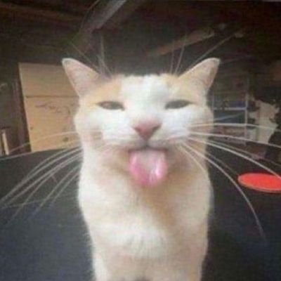 teuloimelai's profile picture. 