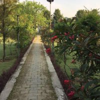 HS (@shab302611) 's Twitter Profile