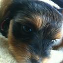 Mariam Young - @MariamWY - Twitter