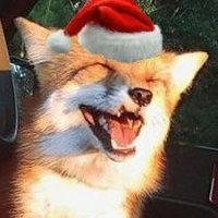 Ivellios 🪶 (@ivelliosfox) 's Twitter Profile