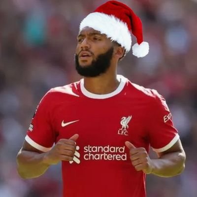 Incredibly honest yet sometimes deluded football fan...  @LFC X @FLAMENGO fan

Joe Gomez enthusiast

I follow everyone back as soon as I can