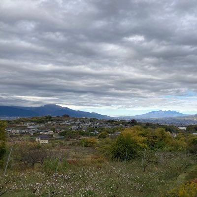 高2男子/リア垢→@buil_realsub/前十字靭帯断裂中/OMC緑/土浦一高作問サークルLINE公式アカウントはこちら↓