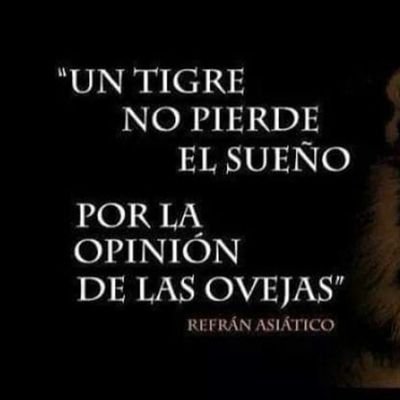 Amo a los perritos, detesto a los corruptos ...Violencia es mentir