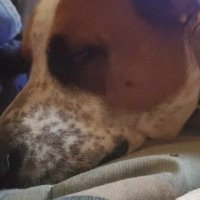Patrick Rainey (@patrick19527262) 's Twitter Profile