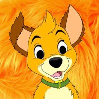 Otis Fluffball (@otisfluffypup) 's Twitter Profile
