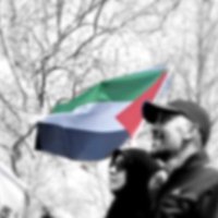 Ayda Kahveci (@kahveciayda) 's Twitter Profile Photo Ayda Kahveci (@kahveciayda) 's Twitter Profile Photo