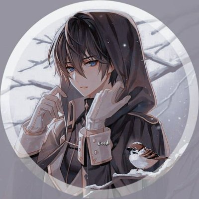 He/Him - Ex Streamer // Used to Pokémon Games // Artist by profession