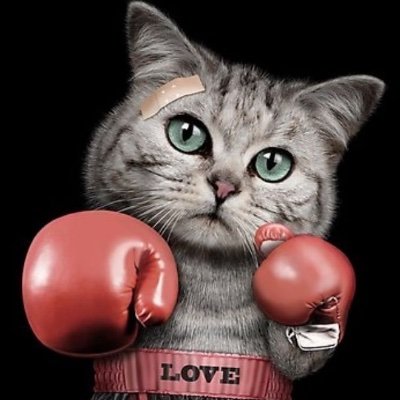 Dulimokh's profile picture. Spreading the word about #NFTs projects

Bringing NFTs to life
Ξ Open for Freelance Work
Seek Truth Through Funny 🎋🫧