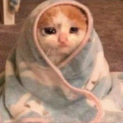 cristalerasbff's profile picture. Circulito de @__awlwlb__ porque ya no sé tuitear sin ello y la candado es too much para estas tonterías