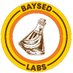 Baysed Labs🍌 (@BaysedLabs) Twitter profile photo