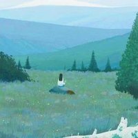 Mora (@pitoun86265) 's Twitter Profile