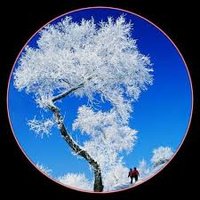 Olive (@sasaysou261) 's Twitter Profile