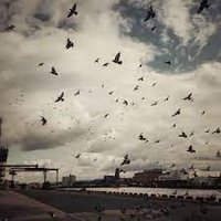 Helpful (@deyseslee81699) 's Twitter Profile