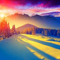 Steadfast (@nonde7563484511) 's Twitter Profile