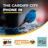 Cardiff City Phone In (@ccpi_bluebirds) 's Twitter Profile