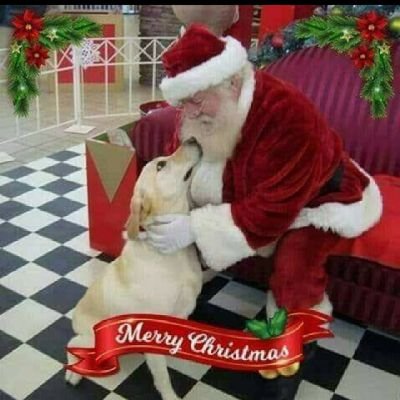 medsecy61's profile picture. Adopt dont shop,Grief is the price you pay for love,💔Maggie,my best friend, soul mate,loyal companion, wait for me at the🌈 bridge  6.1.10-2.8.22