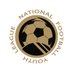 National Football Youth League (@NFYLU19U23) Twitter profile photo