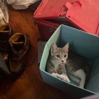 Mycelium (@mycelium289) 's Twitter Profile