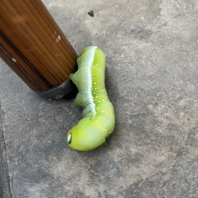 Posy7951's profile picture. 