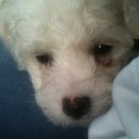 emma crow - @crow_emma - Twitter