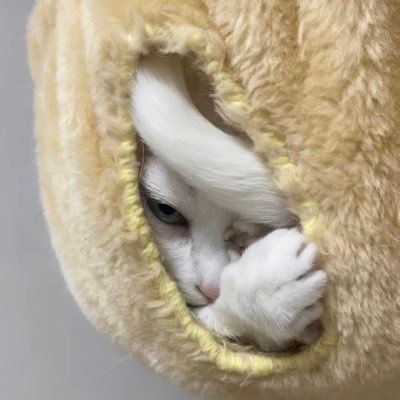 w0w930830's profile picture. 🇹🇼 請我吃暴力迪吧飯